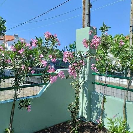 Lovely Guesthouse On The Beach 아이아 아나 외부 사진