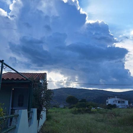 Lovely Guesthouse On The Beach 아이아 아나 외부 사진