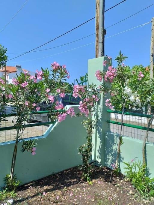Lovely Guesthouse On The Beach 아이아 아나 외부 사진
